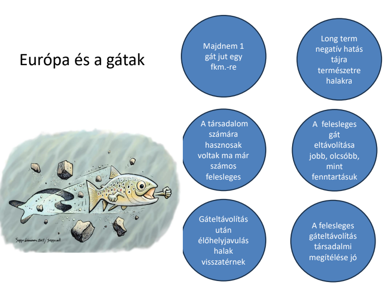 Európa és a gátak