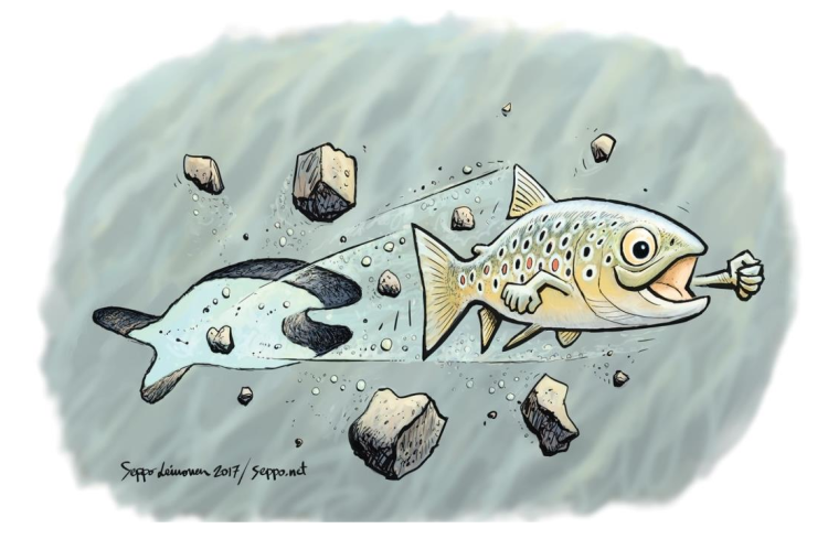 Dunakiliti in context of „We Pass” Iron Gates